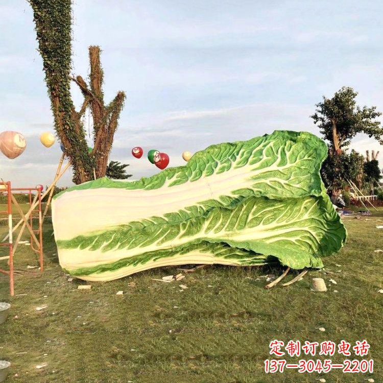 兰州新鲜白菜“精致生活”系列