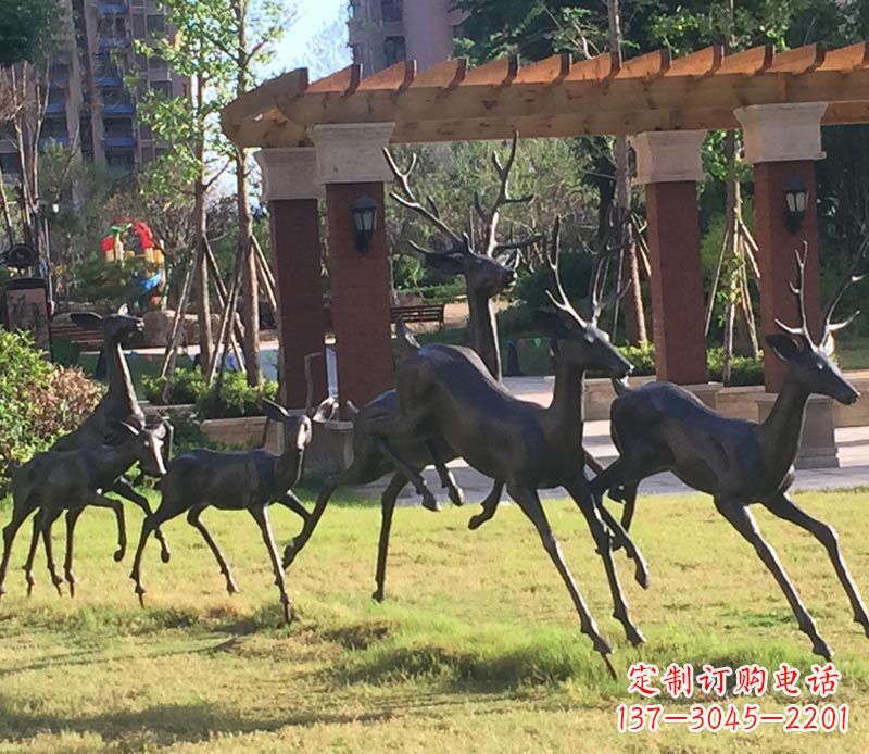 兰州“梅花鹿传递自由与美好”