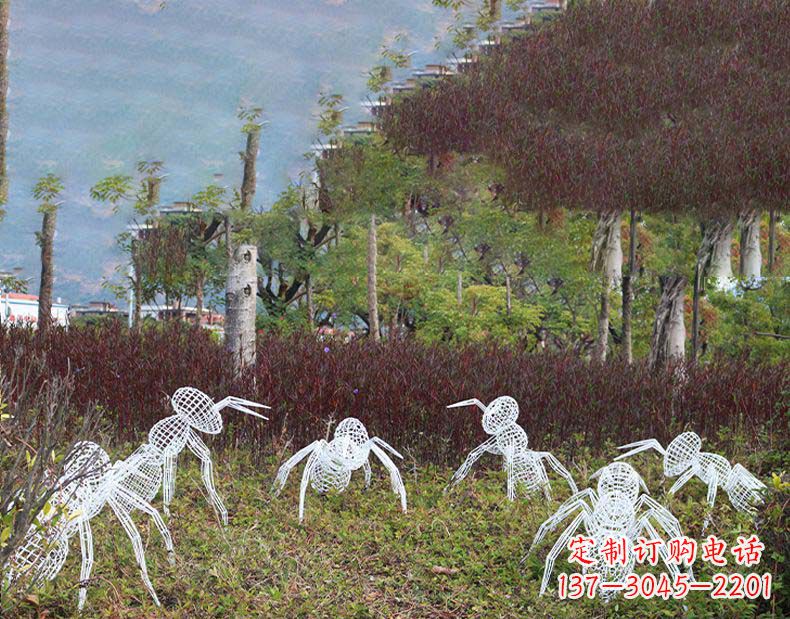 兰州不锈钢蚂蚁镂空雕塑艺术与自然的完美结合