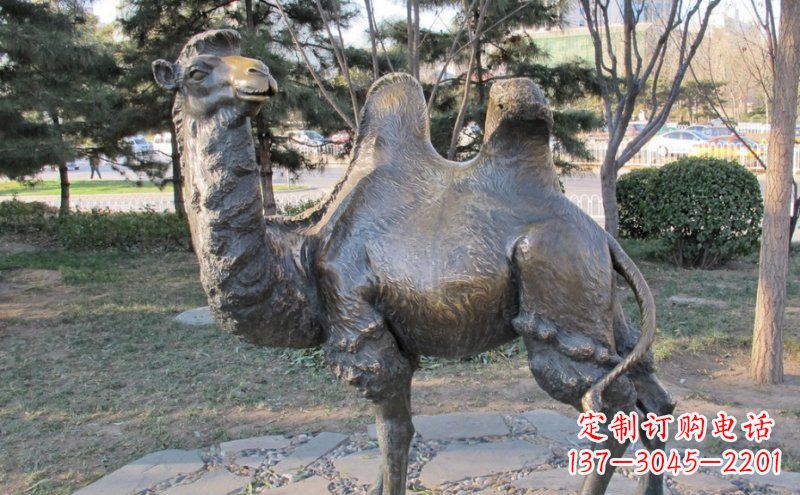 兰州铜骆驼雕塑——浓缩自然美丽