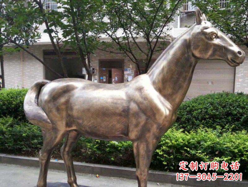 兰州公园马动物铜雕 (3)