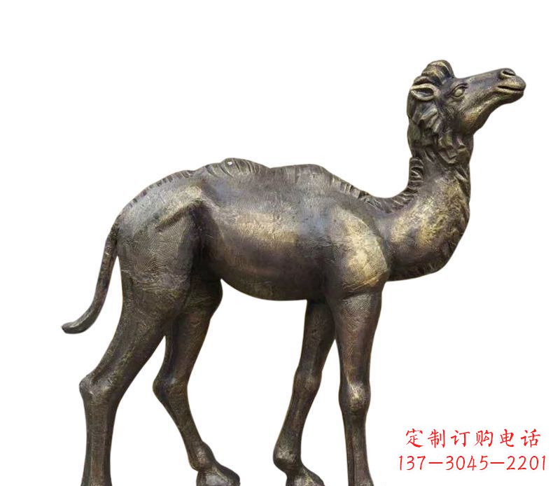兰州奇美洁净的骆驼铜雕
