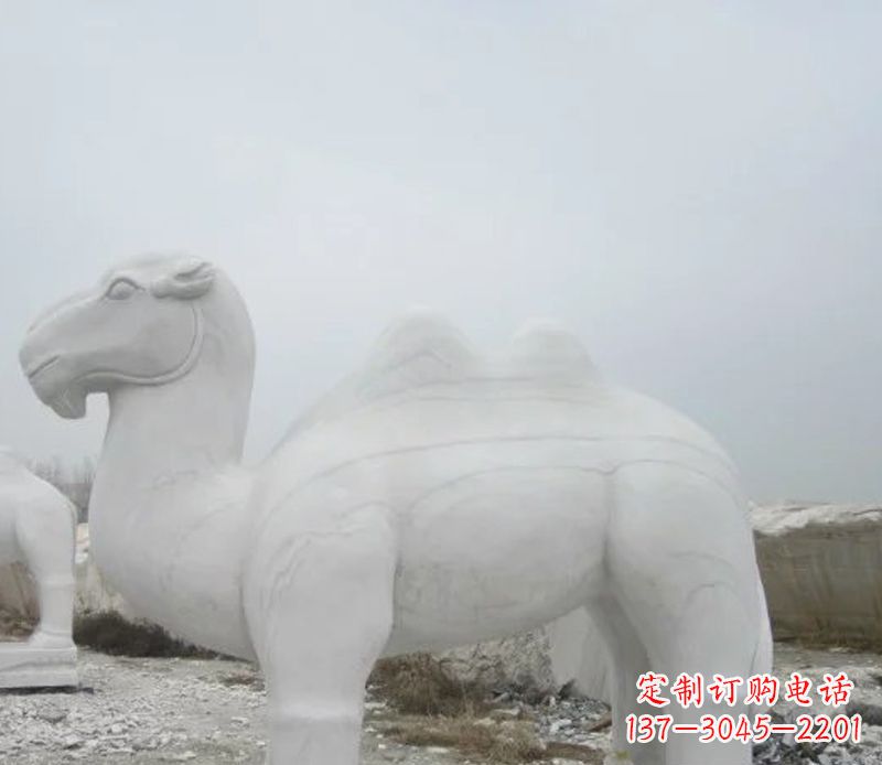 兰州汉白玉骆驼石雕塑，装点家居空间
