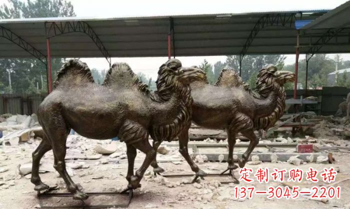 兰州典雅优美的骆驼铜雕