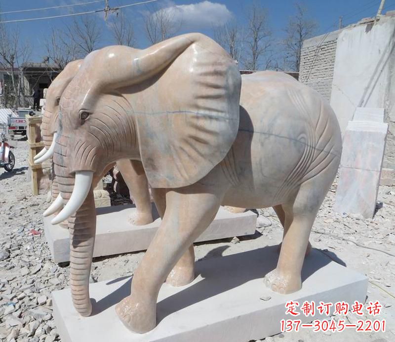 兰州晚霞红卷鼻大象