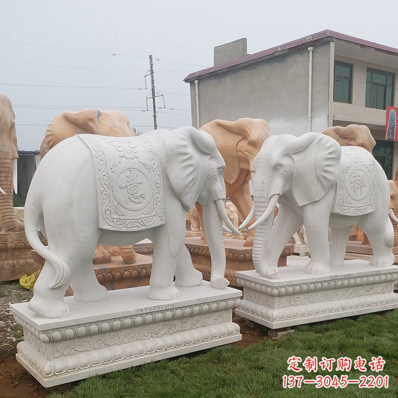 兰州学校石雕大象